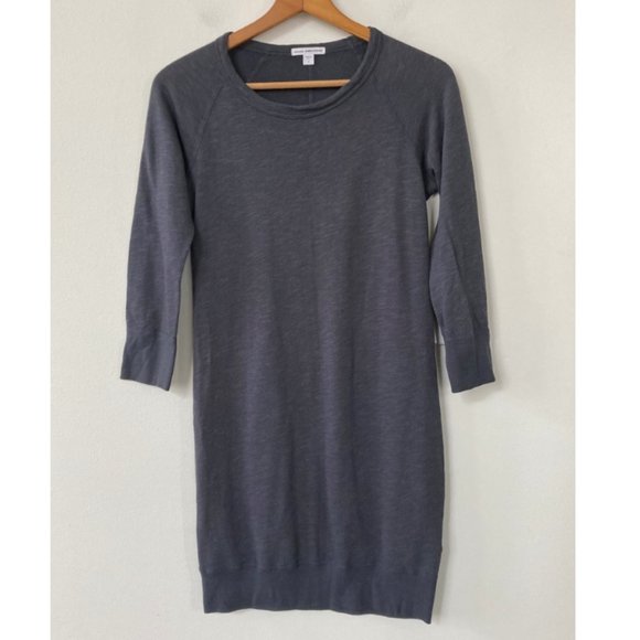 James Perse Raglan Sweatshirt Dress 